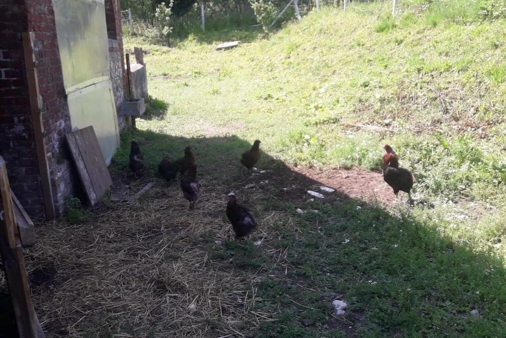 Les Du Val Renoux Hébergement de vacances